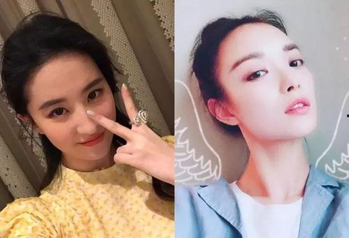 网红与明星的区别,数字时代下的身份差异解析