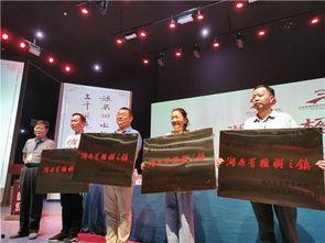 邵阳新邵坪上新闻头条,突发新闻聚焦，揭秘事件背后真相