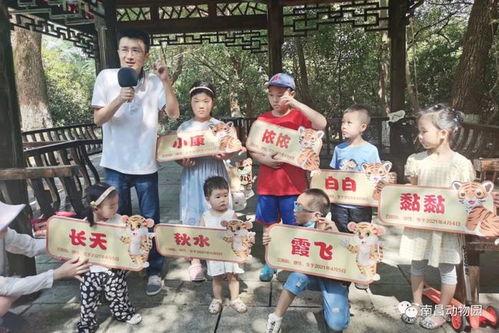 南昌动物园最新头条消息,精彩活动与动物趣闻抢先看