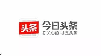 今日头条小宠物图标